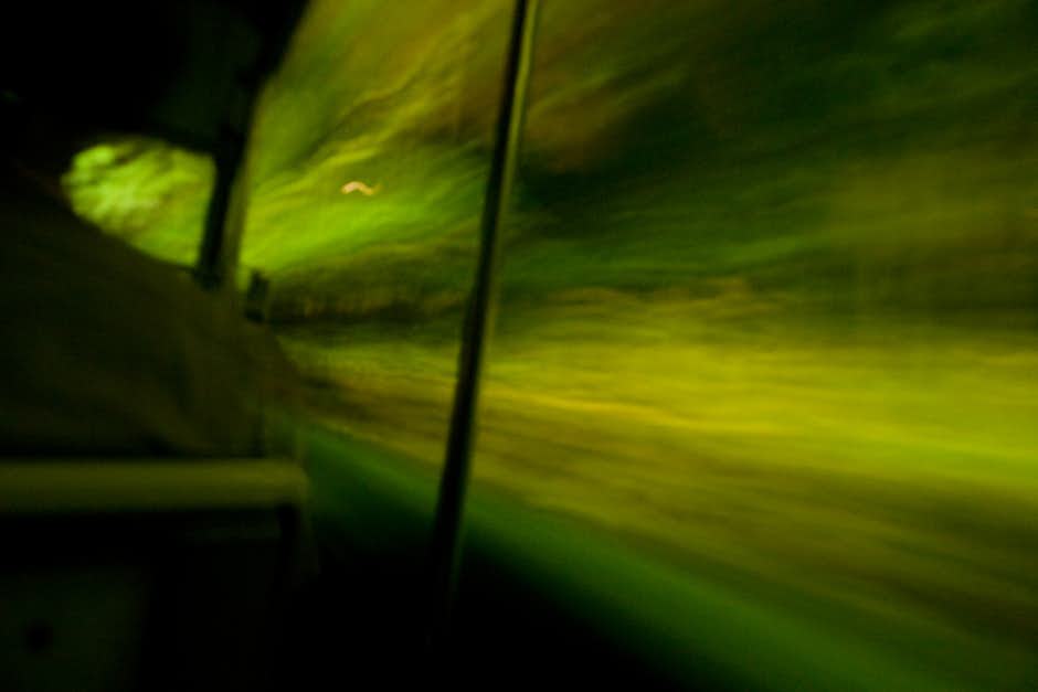 Riding the tram through Singapore’s Night Safari Riding the tram through Singapore’s Night Safari